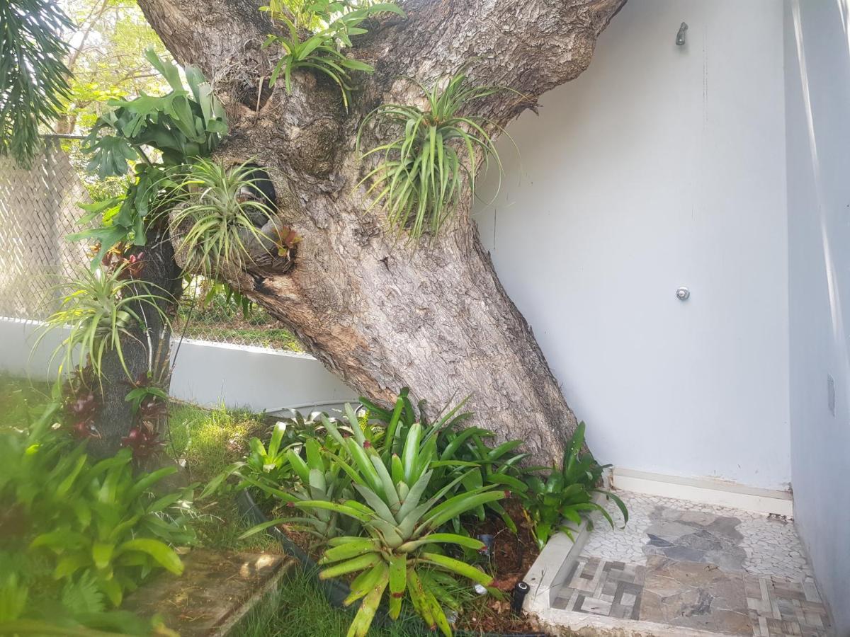 Always Summer Inn Isla Culebra Εξωτερικό φωτογραφία